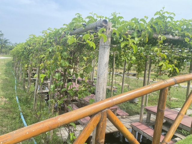 กิจกรรมวันดินโลก ภายใต้หัวข้อ ดินดี น้ำดี ชีวีมีสุข อย่างยั่งยืน  